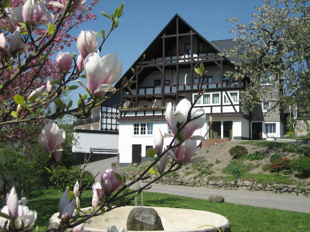 Ferienwohnungen Otto Schmallenberg Luaran gambar